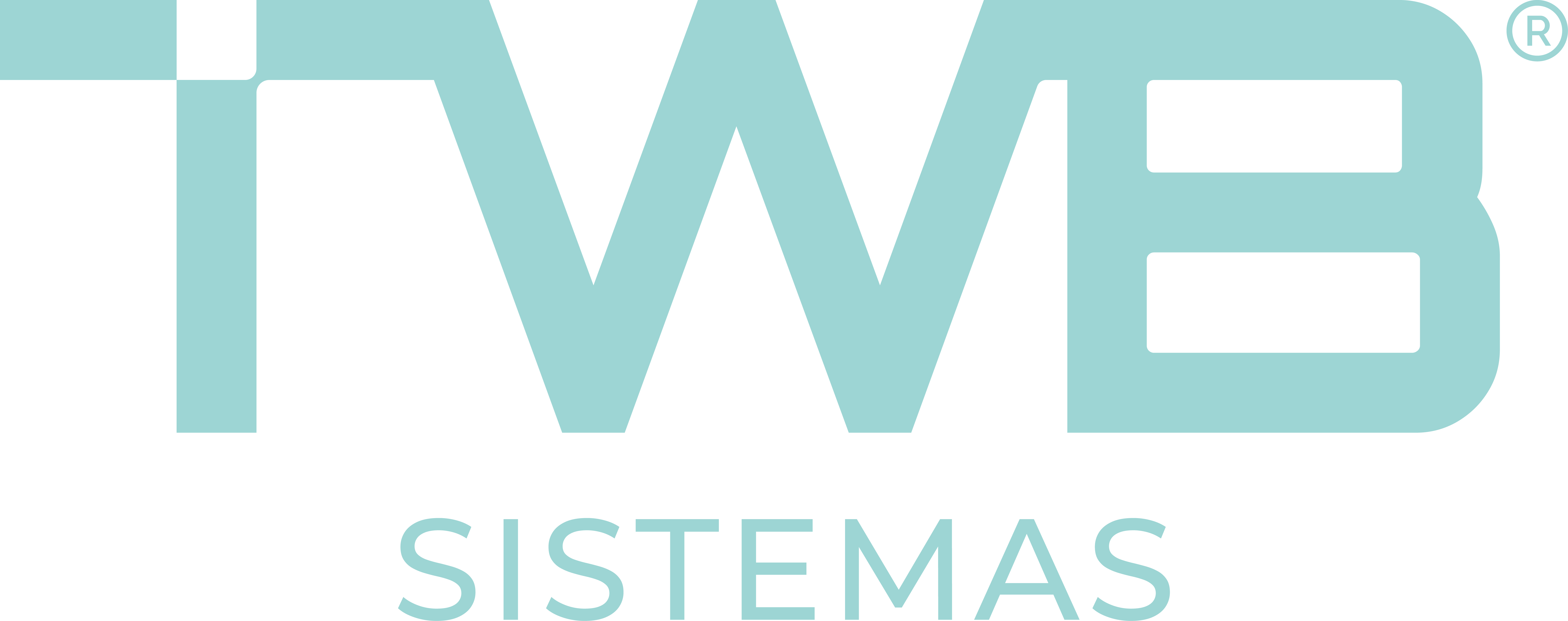TWB Sistemas
